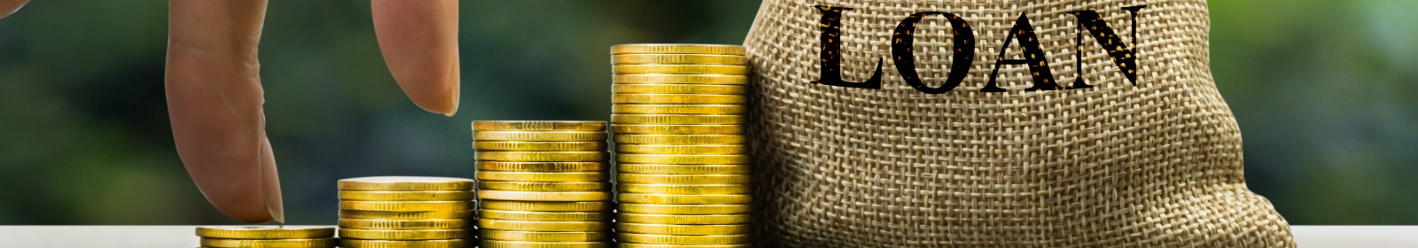 a loan bag and a stack of coins